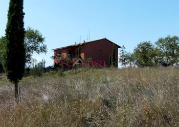 Azienda agricola Cinigiano - foto 3