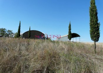 Azienda agricola Cinigiano - foto 5