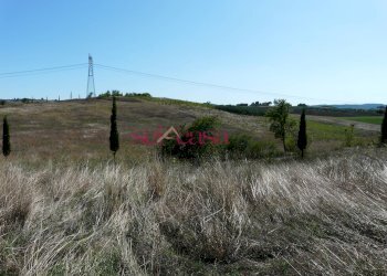 Azienda agricola Cinigiano - foto 8