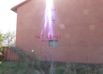 Azienda agricola Cinigiano - foto 9