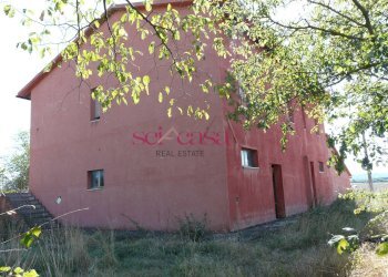 Azienda agricola Cinigiano - foto 10