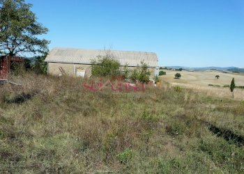Azienda agricola Cinigiano - foto 11