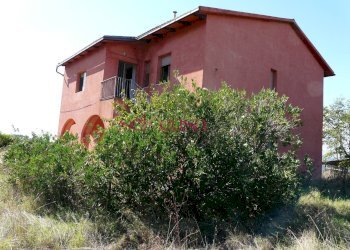 Azienda agricola Cinigiano - foto 12