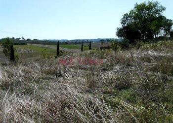 Azienda agricola Cinigiano - foto 14