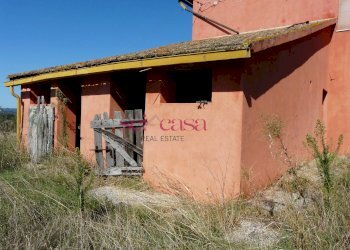 Azienda agricola Cinigiano - foto 16