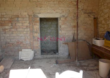 Azienda agricola Cinigiano - foto 17