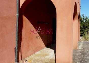 Azienda agricola Cinigiano - foto 18