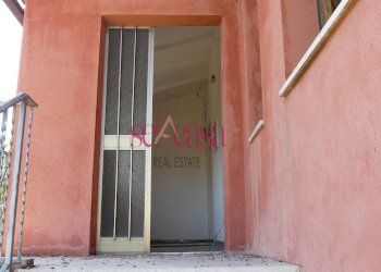 Azienda agricola Cinigiano - foto 19