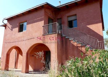 Azienda agricola Cinigiano - foto 21