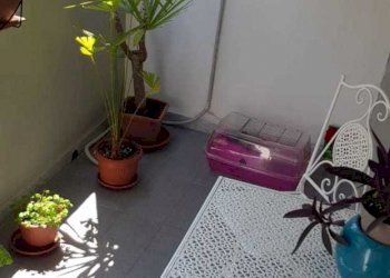 887e6814-9139-4688-b91a-9634f0ac895e.jpg - Appartamento Carrara - foto 9