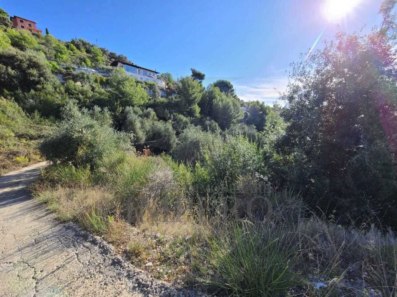 Terreno edificabile san giacomo, Camporosso - foto 1