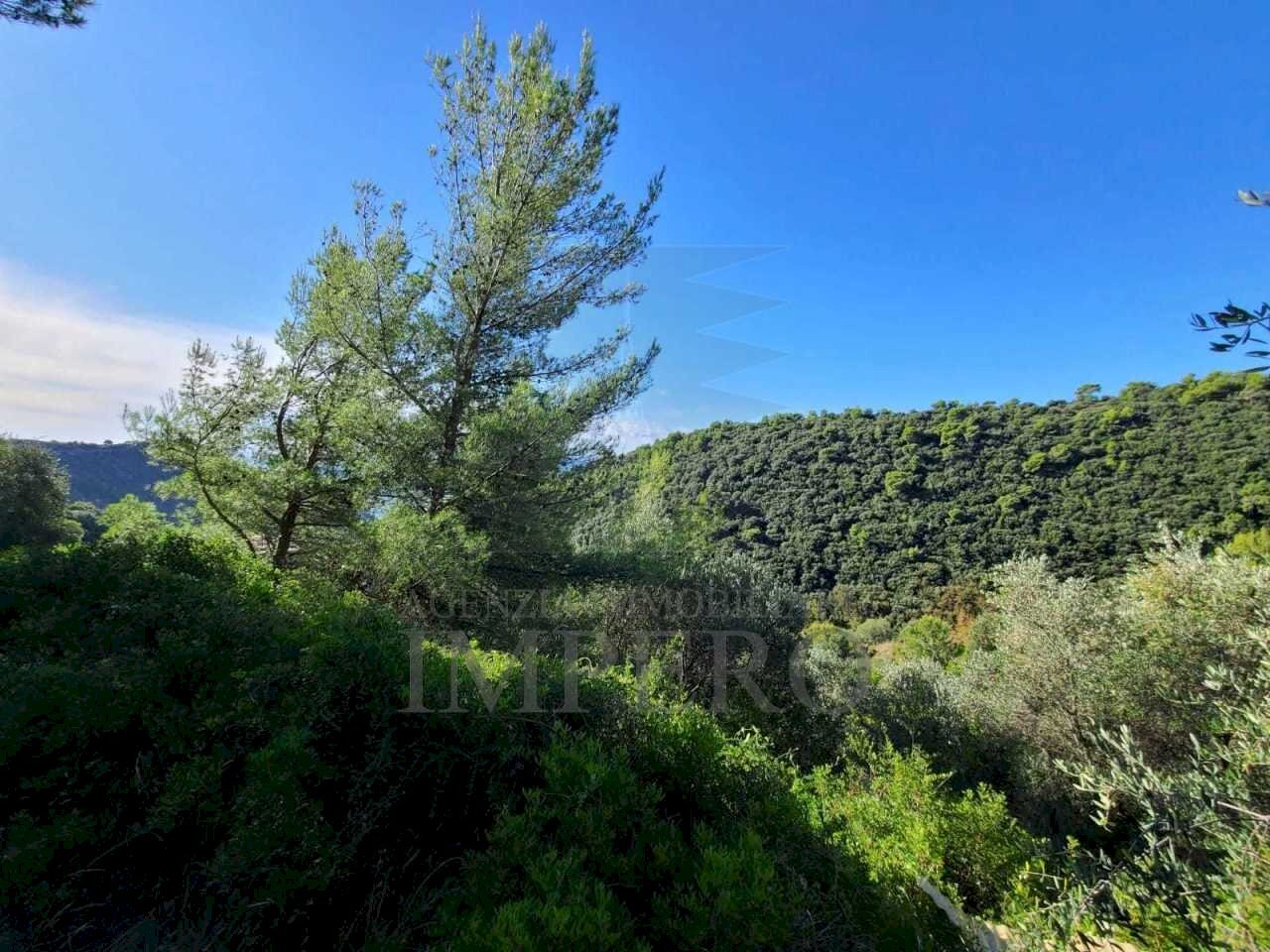 Terreno edificabile san giacomo, Camporosso - foto 3