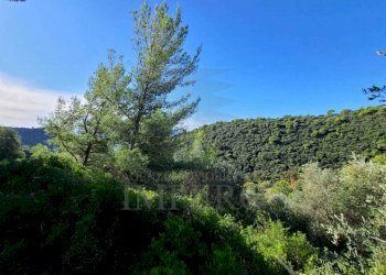 Terreno edificabile san giacomo, Camporosso - foto 3