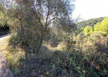 Terreno edificabile san giacomo, Camporosso - foto 5