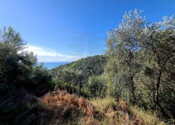 Terreno edificabile san giacomo, Camporosso - foto 7