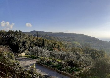 20201113_151804.jpg - Appartamento piazza giuseppe garibaldi, Montecchio - foto 8