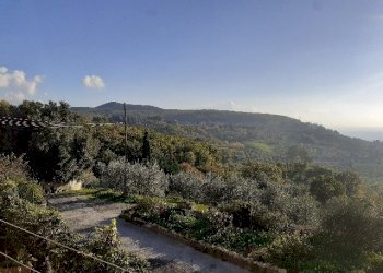 20201113_151802.jpg - Appartamento piazza giuseppe garibaldi, Montecchio - foto 22
