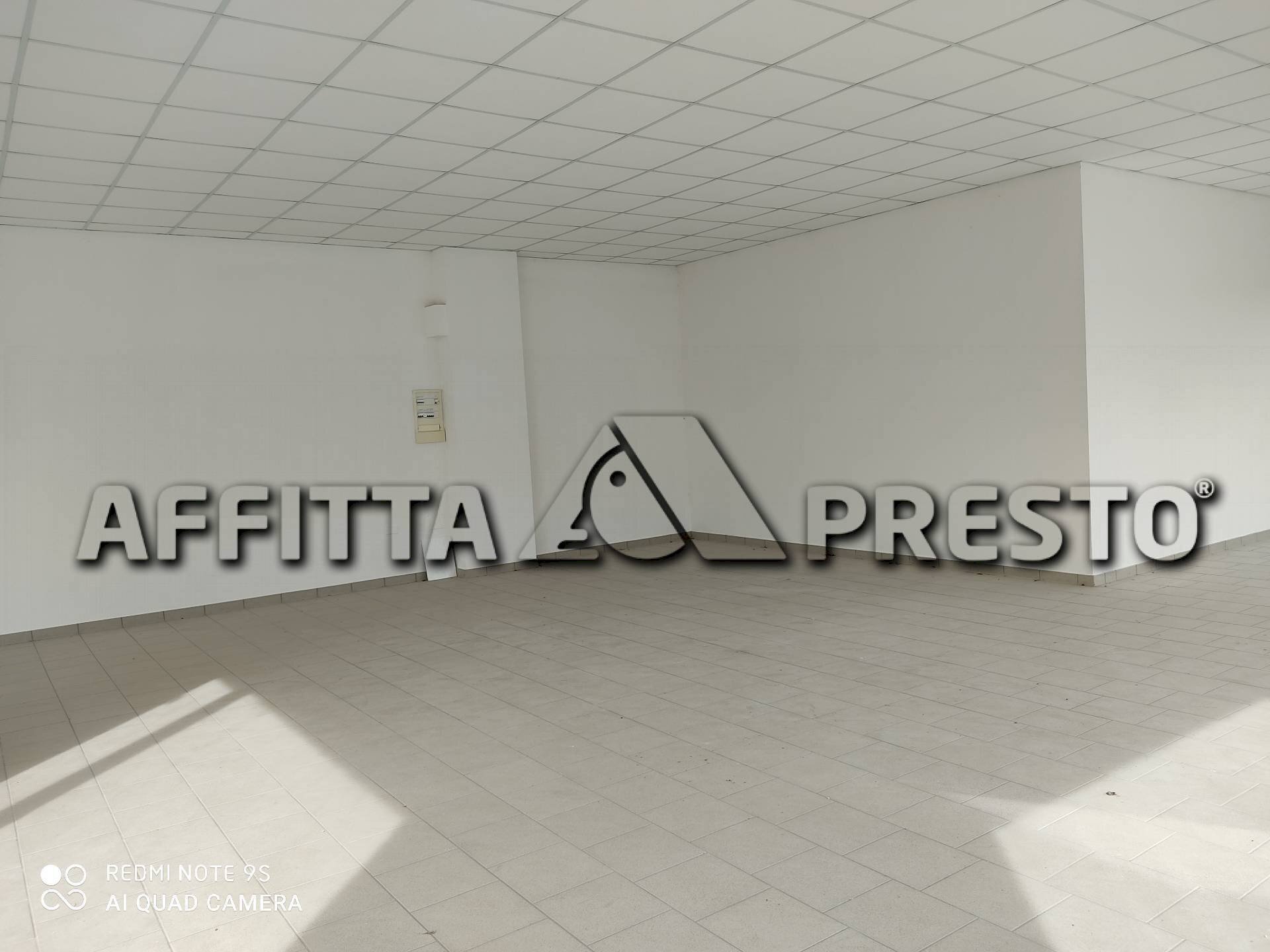 Attività Commerciale Via Napoli, Collesalvetti - foto 1