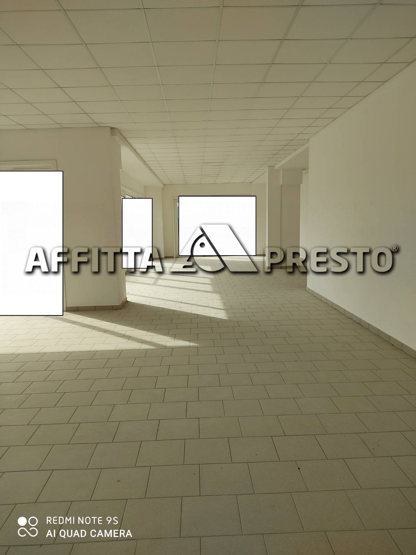 Attività Commerciale Via Napoli, Collesalvetti - foto 2