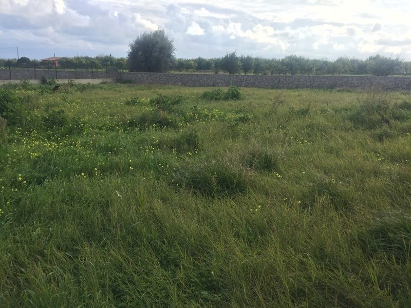 Foto 13-01-20, 14 37 11 (1).jpg - Magazzino Avola - foto 2