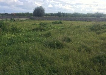 Foto 13-01-20, 14 37 11 (1).jpg - Magazzino Avola - foto 2