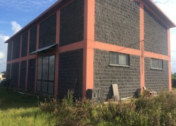 Foto 13-01-20, 14 39 31.jpg - Magazzino Avola - foto 4