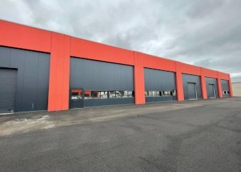 Zona - Capannone strada della Mandria, 1, Rondissone - foto 2