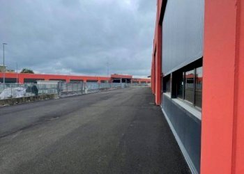 Zona - Capannone strada della Mandria, 1, Rondissone - foto 3