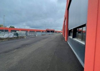 Zona - Capannone strada della Mandria, 1, Rondissone - foto 7