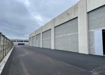 Zona - Capannone strada della Mandria, 1, Rondissone - foto 28