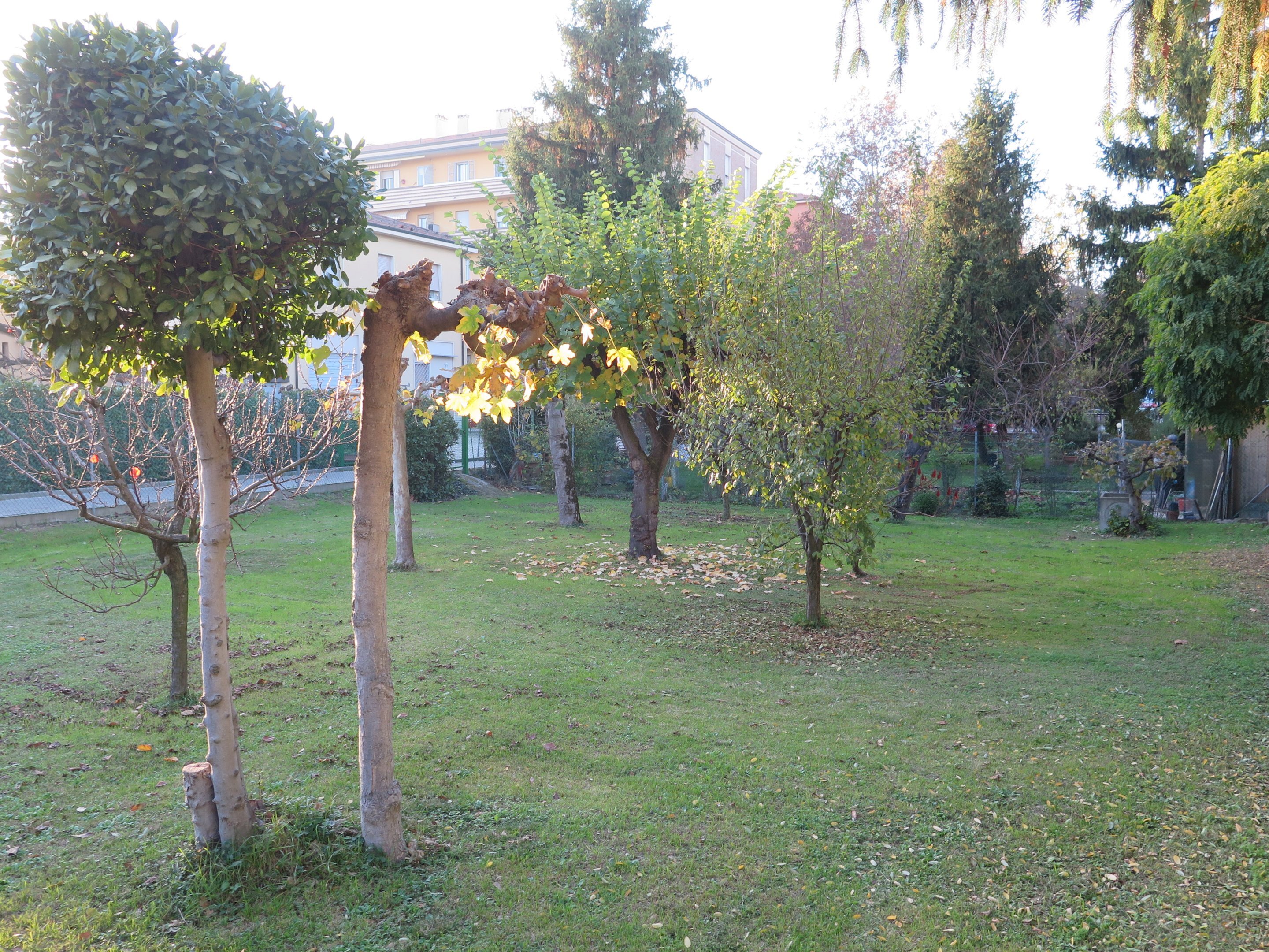 Agricultural land VIA BENCIVENNI, Bologna (neighborhood Borgo Panigale) - photo 1