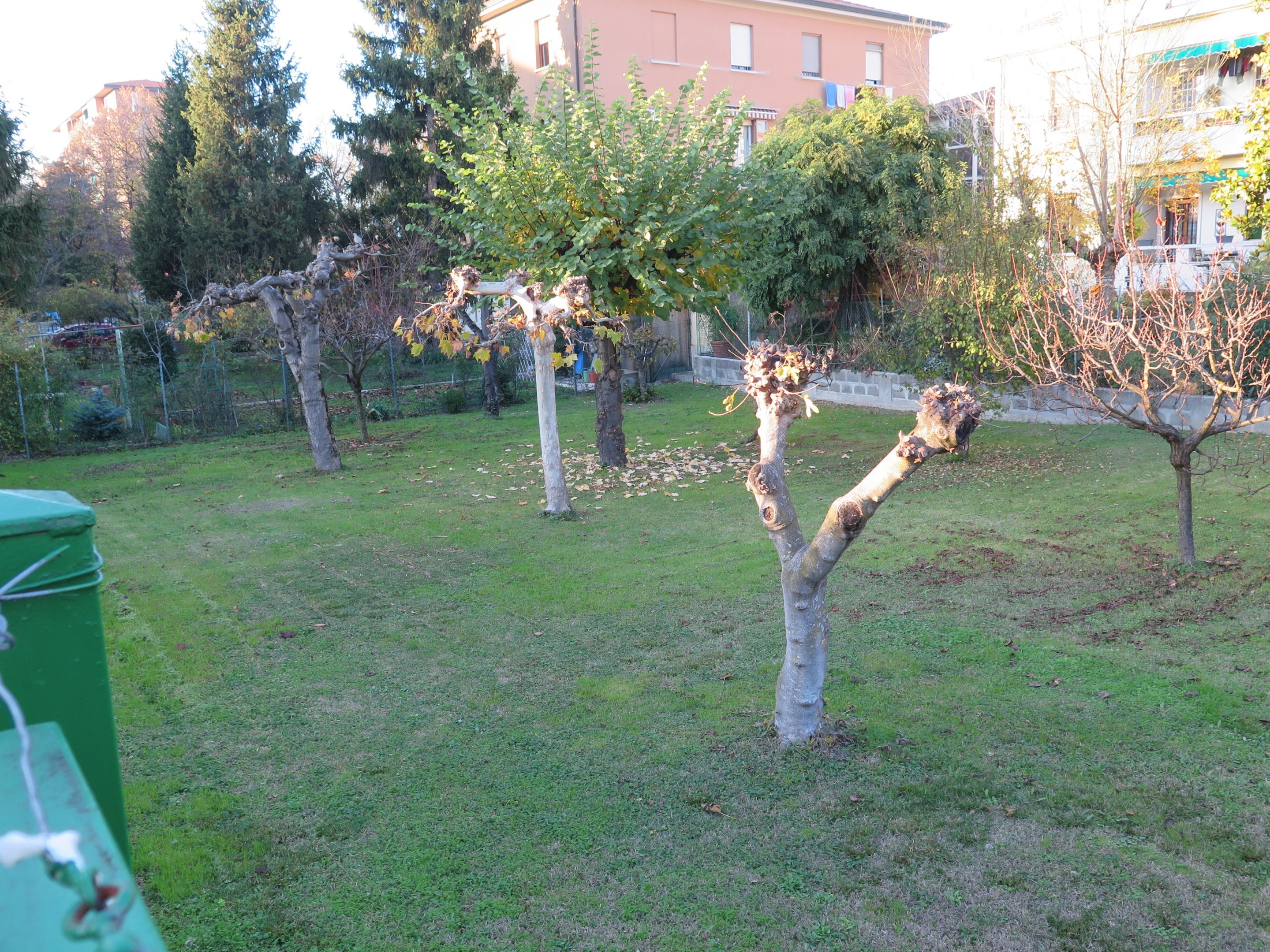 Agricultural land VIA BENCIVENNI, Bologna (neighborhood Borgo Panigale) - photo 2