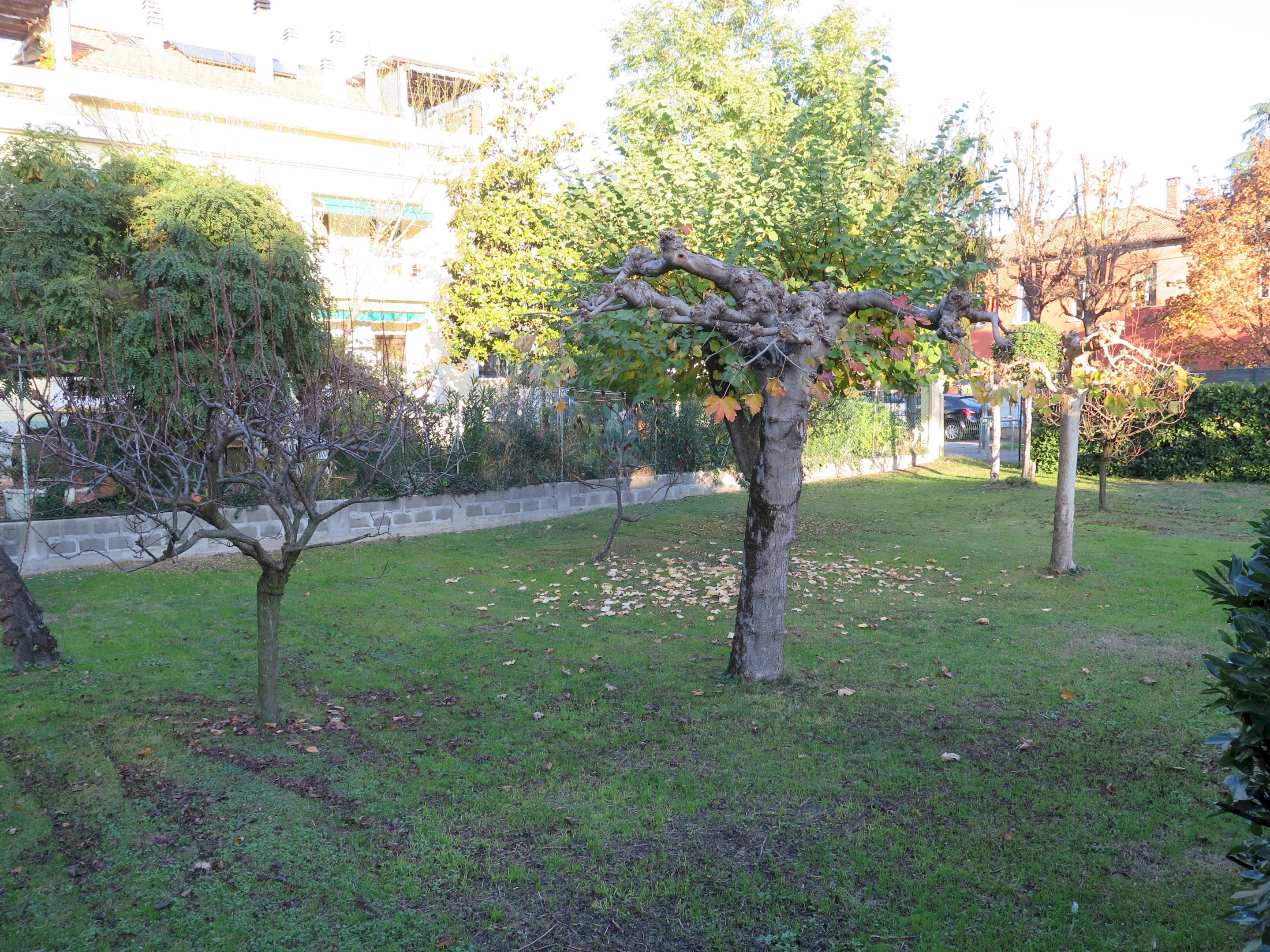 Agricultural land VIA BENCIVENNI, Bologna (neighborhood Borgo Panigale) - photo 3