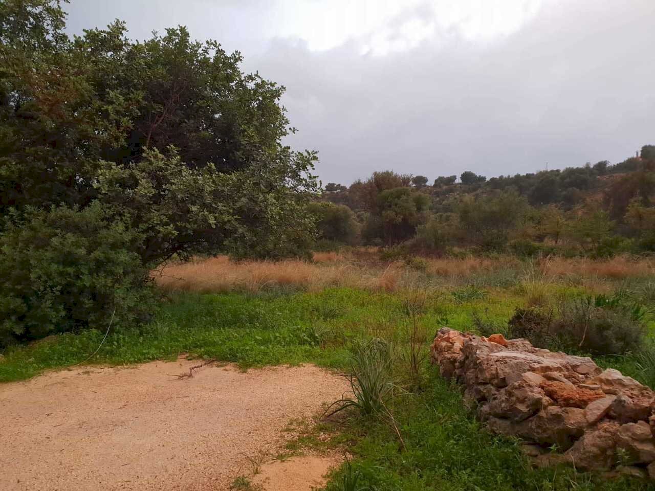 1FCA8DDF-F4B9-4E2B-A838-053B81248275-L0-001.jpeg - Agricultural land Siracusa - photo 3