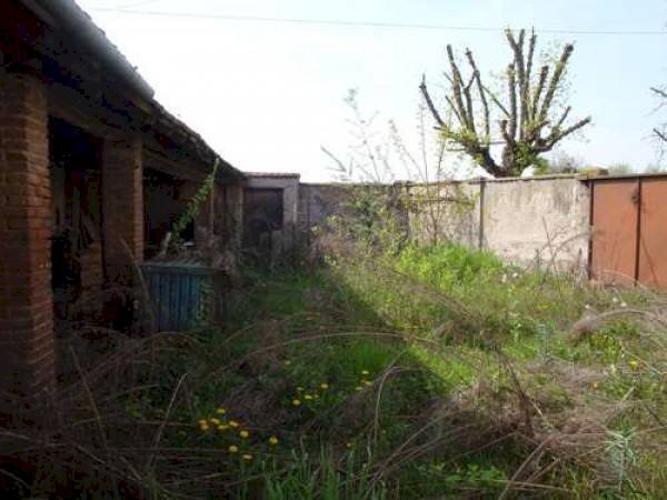 giardino - Rustico via Miraglio Felice, Crescentino - foto 3