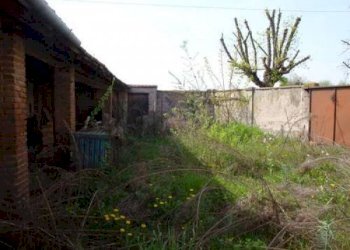 giardino - Rustico via Miraglio Felice, Crescentino - foto 3