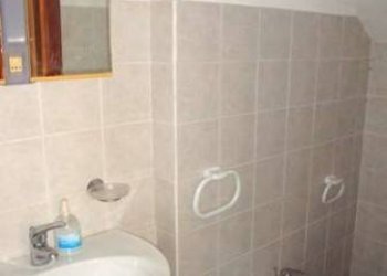 bagno p.t. - Rustico via Miraglio Felice, Crescentino - foto 9