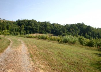 Rustic via Voggiardi, 14, Odalengo Grande - photo 9