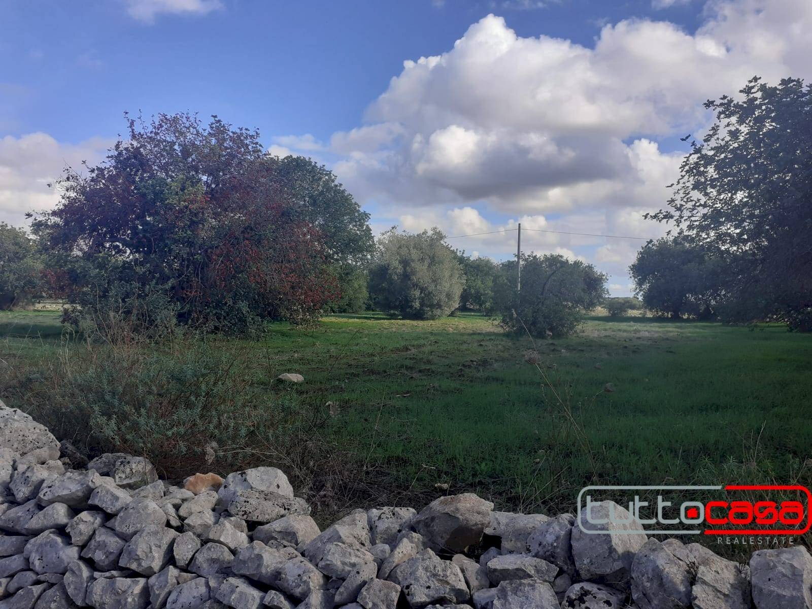 Agricultural land C.DA LINCINO/BOMMACCHIA, Scicli - photo 1
