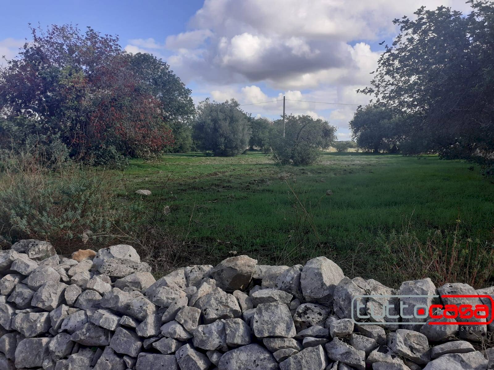 Agricultural land C.DA LINCINO/BOMMACCHIA, Scicli - photo 2