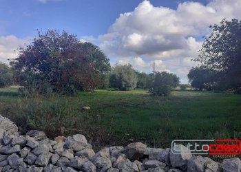 Agricultural land C.DA LINCINO/BOMMACCHIA, Scicli - photo 1