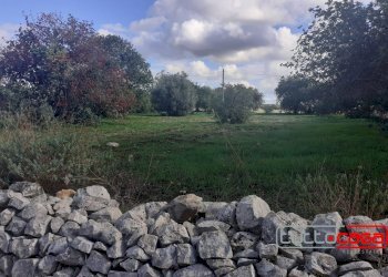 Agricultural land C.DA LINCINO/BOMMACCHIA, Scicli - photo 2