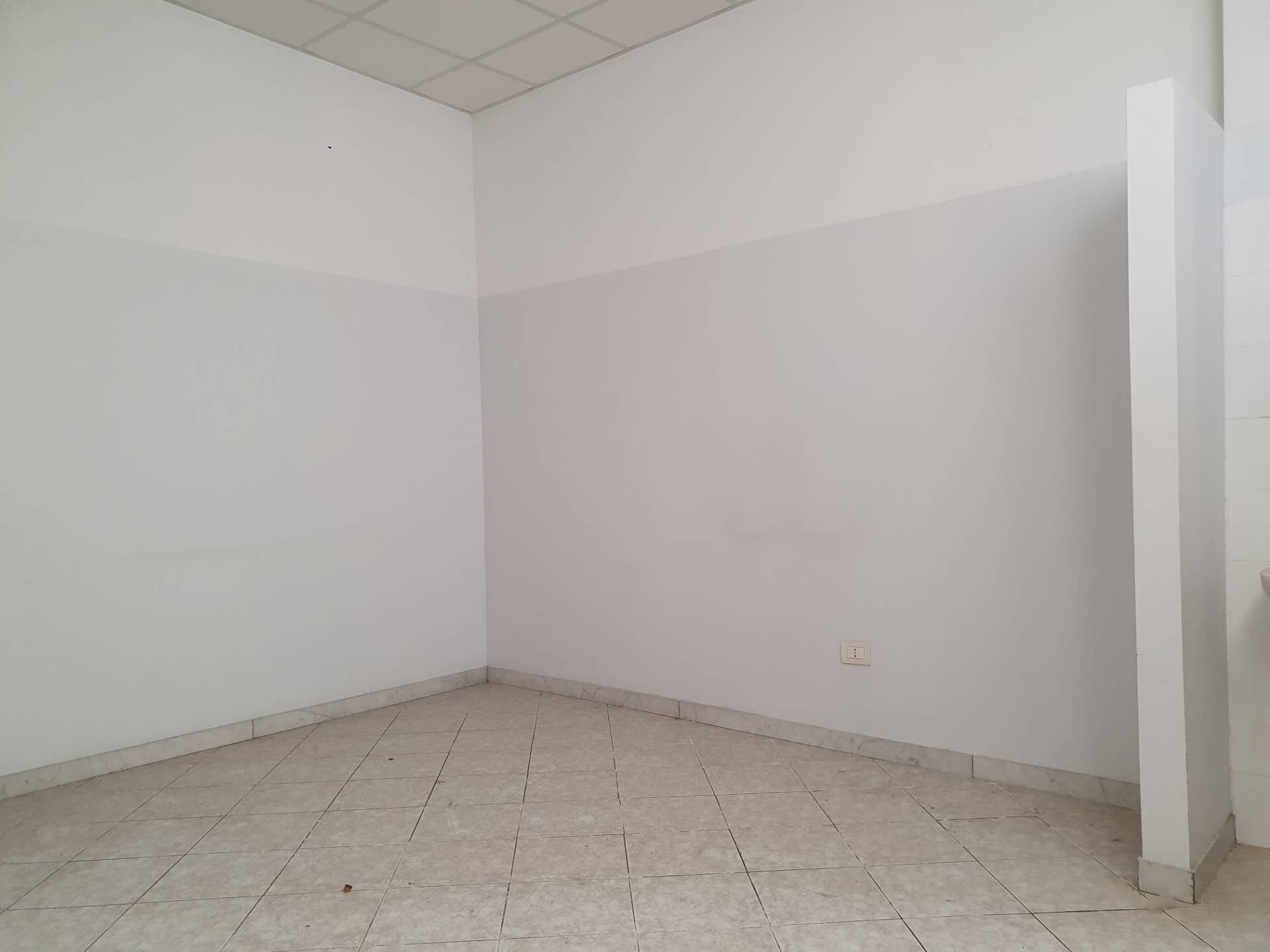 Office Via Pesciatina, Lucca (neighborhood San Vito) - photo 3