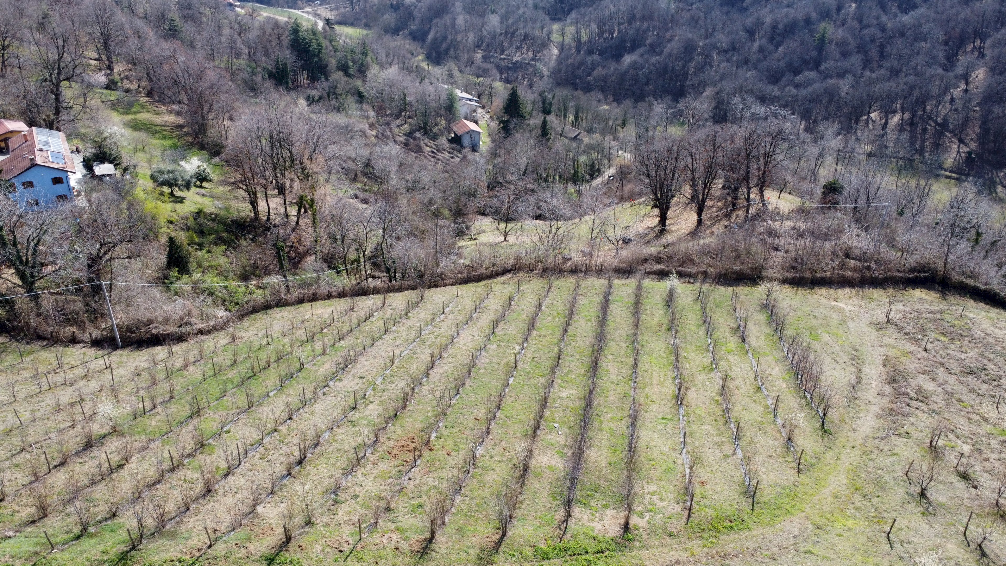 Casa indipendente Via Collina, 13, Manta - foto 3