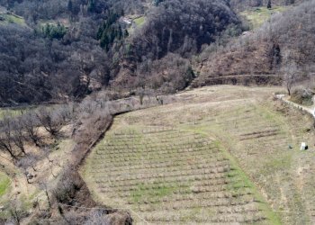 Independent house Via Collina, 13, Manta - photo 7