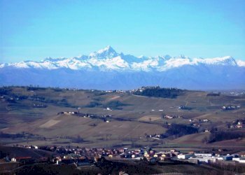 Terreno edificabile Diano d'Alba - foto 1