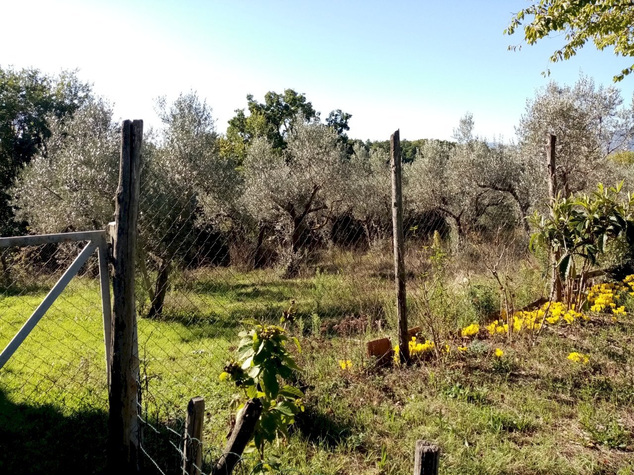 IMG_20201006_100424.jpg - Portion of a house Piazza Nobili Vitelleschi 5, Labro - photo 3
