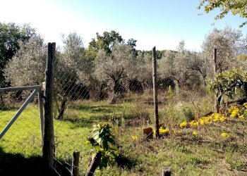 IMG_20201006_100424.jpg - Porzione di casa Piazza Nobili Vitelleschi 5, Labro - foto 3