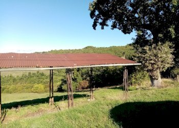 IMG_20201006_100501.jpg - Porzione di casa Piazza Nobili Vitelleschi 5, Labro - foto 7