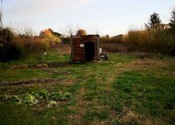 IMG_20201218_155207.jpg - Terreno agricolo Via Carbone 16, Castelnuovo Magra - foto 1